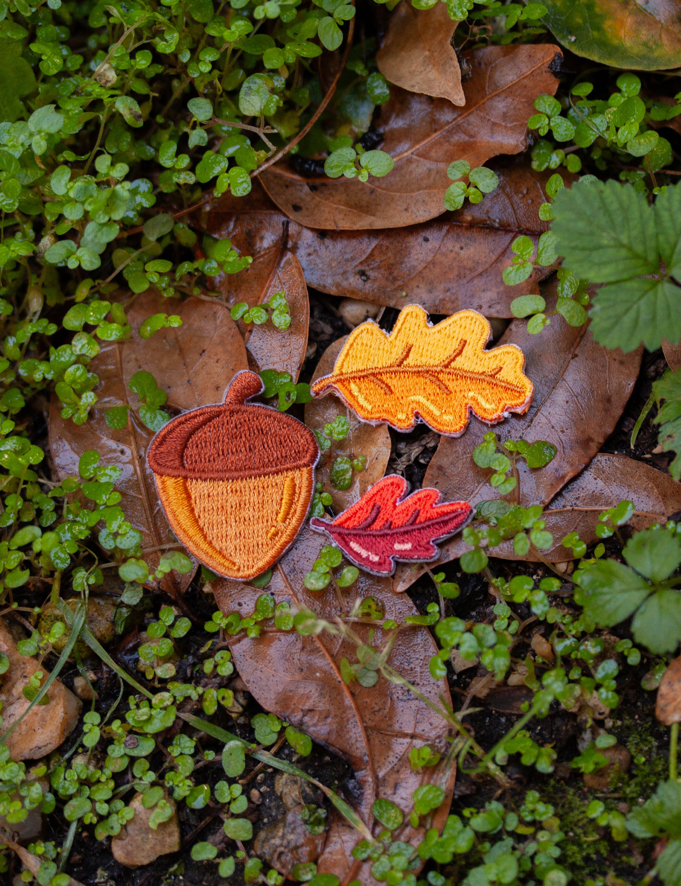 Ensemble de patchs d&#39;automne