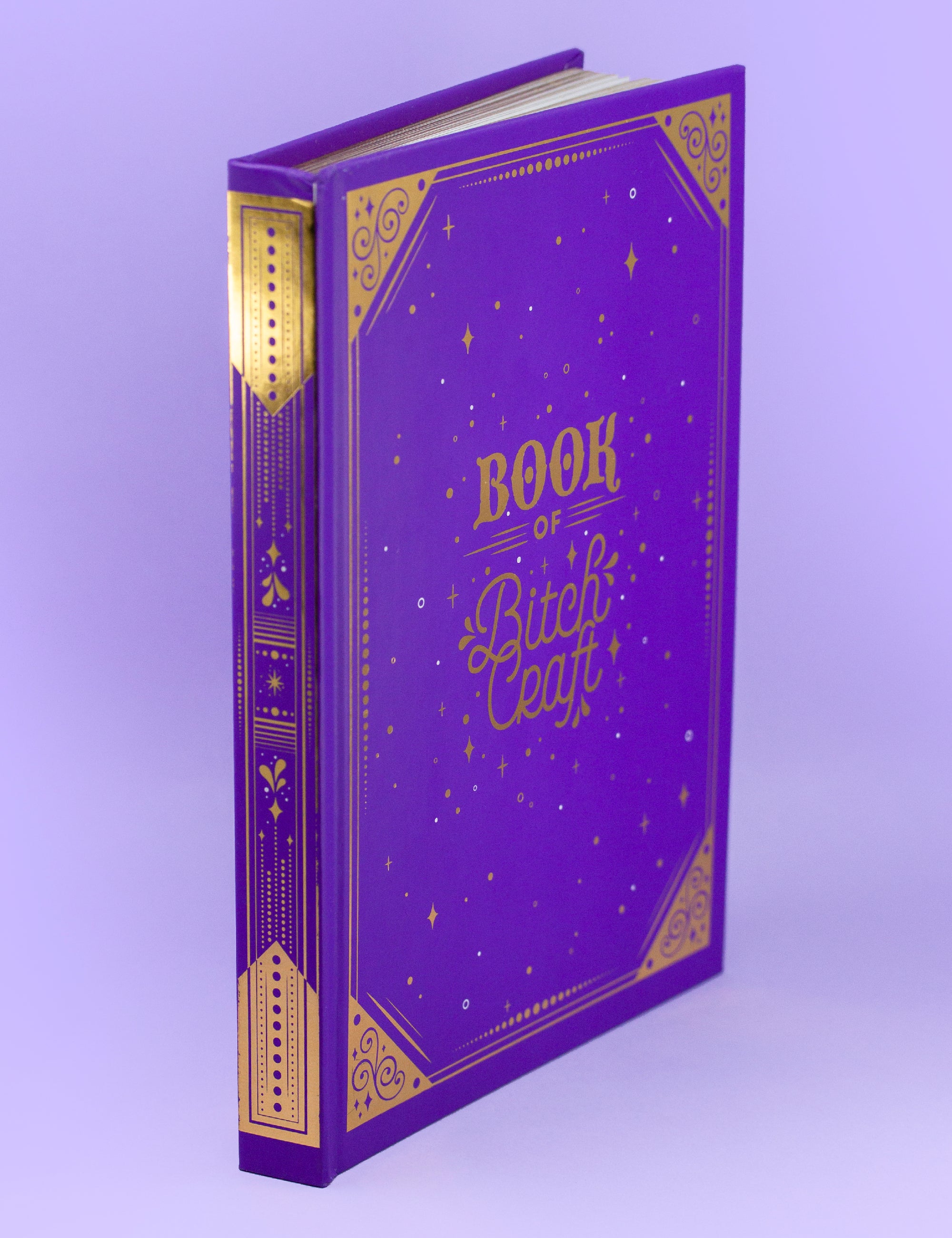 ✦ Journal de bricolage Livre de Bitch ✦