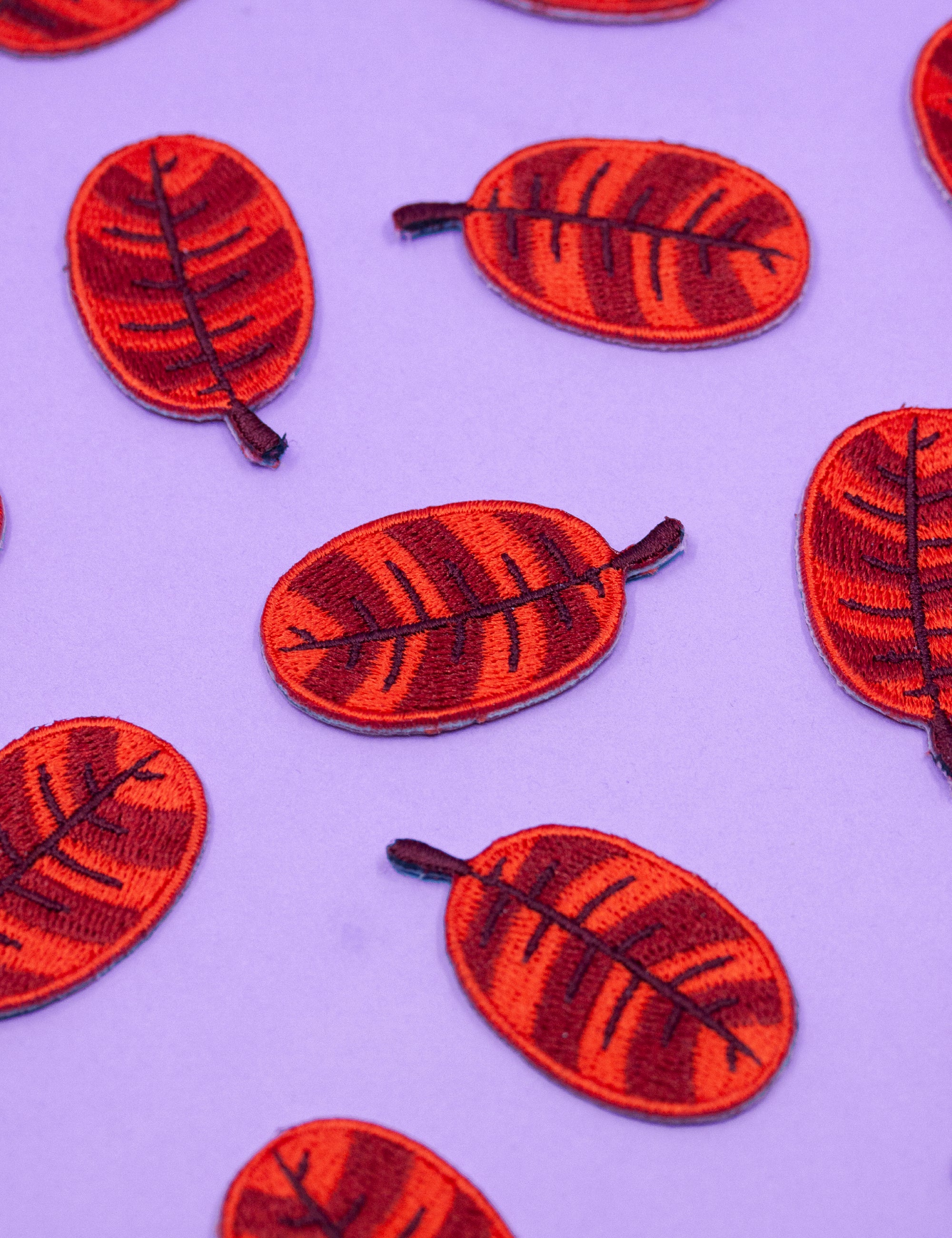 Ensemble de patchs de feuilles d&#39;automne