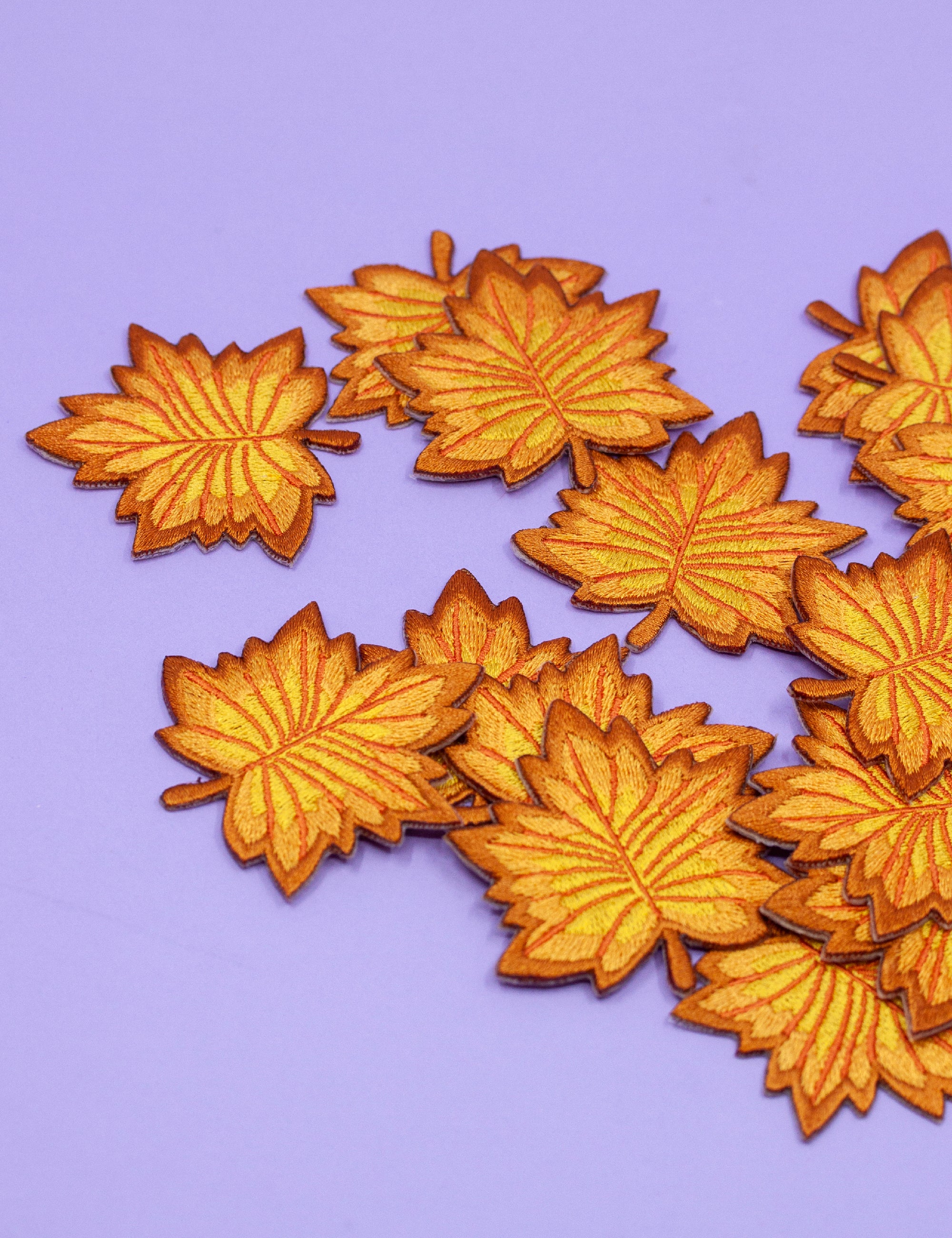 Ensemble de patchs de feuilles d&#39;automne